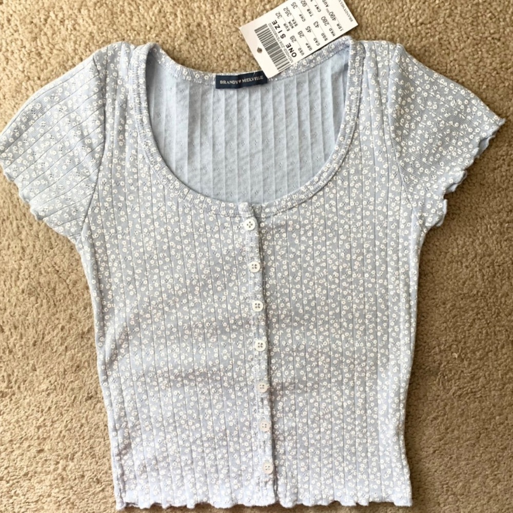 BNWT Brandy Melville Blue Floral Zelly Top!
